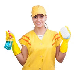 Everything You Need To Know About Hiring A Mold Removal Service